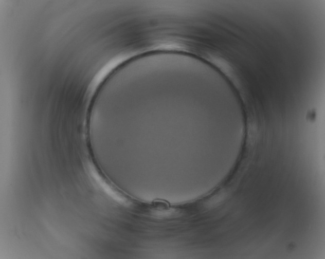 X0000110711331200907022013