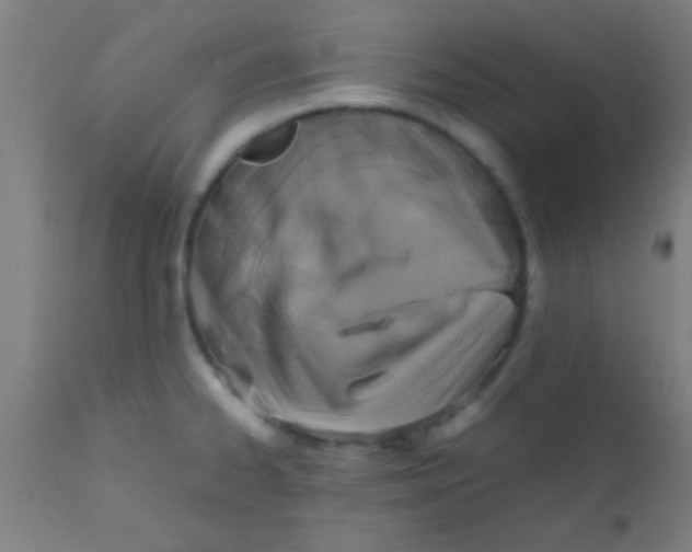 X0000110711334200907022013