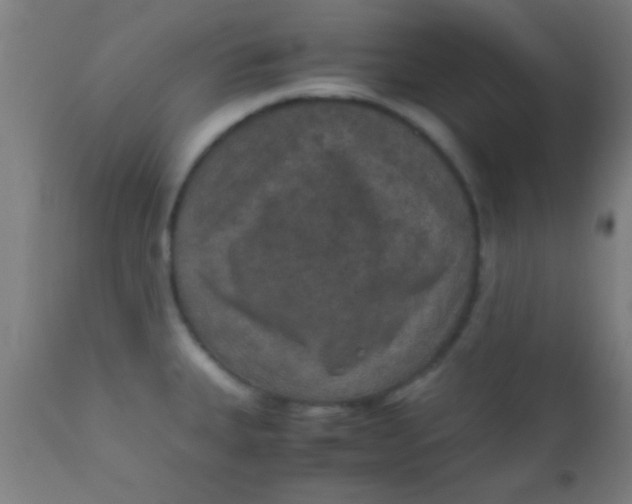 X0000110711335200907022013