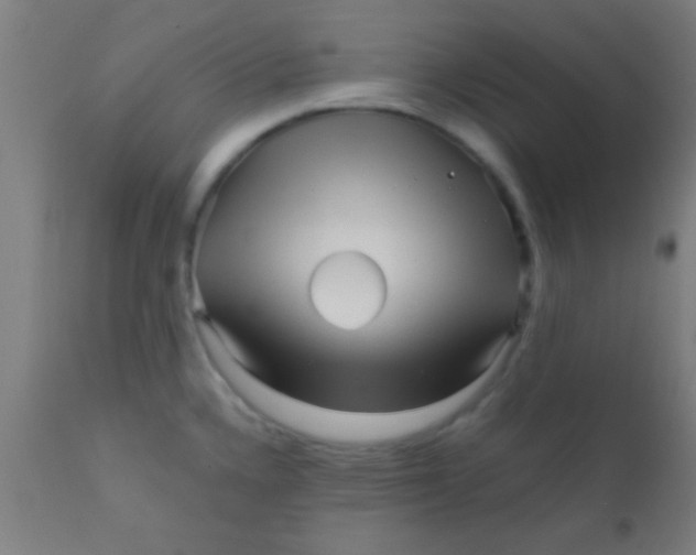 X0000110711336200907022013