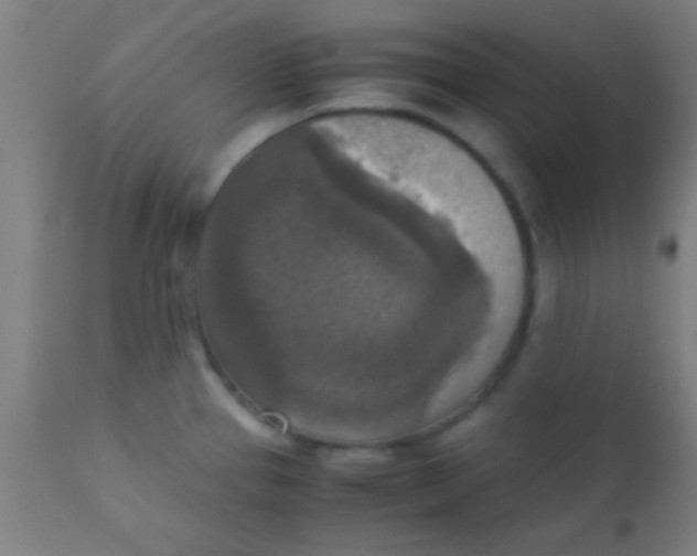 X0000110711337200907022013