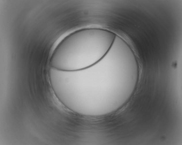 X0000110711340200907022013
