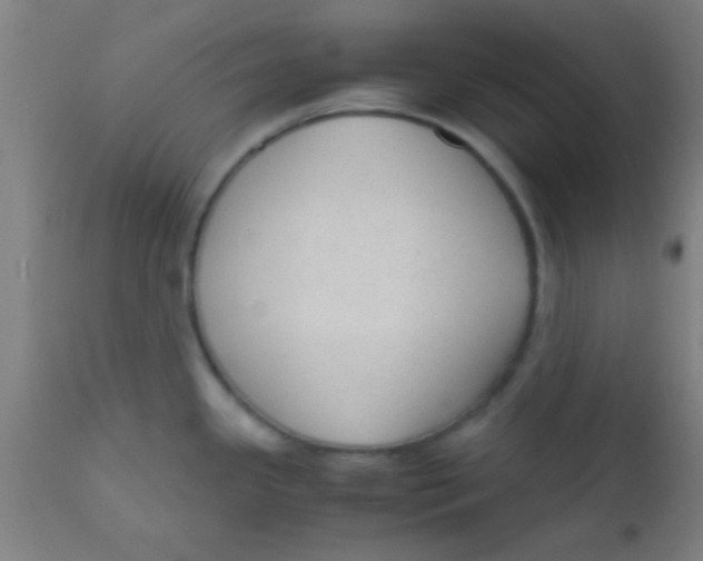 X0000110711341200907022013