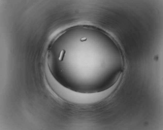 X0000110711342200907022013
