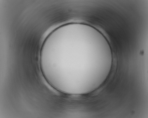 X0000110711343200907022013