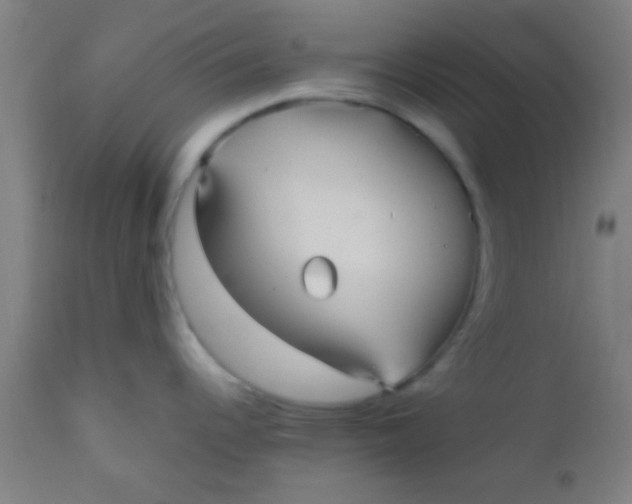 X0000110711344200907022013