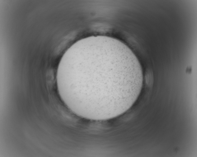 X0000110711347200907022012