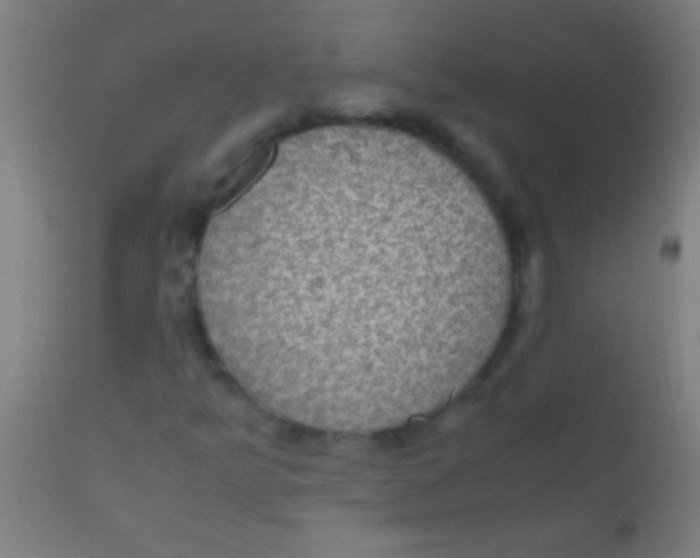 X0000110711349200907022012