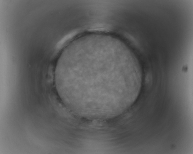 X0000110711350200907022012