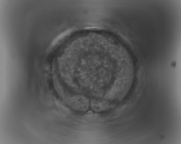 X0000110711351200907022012