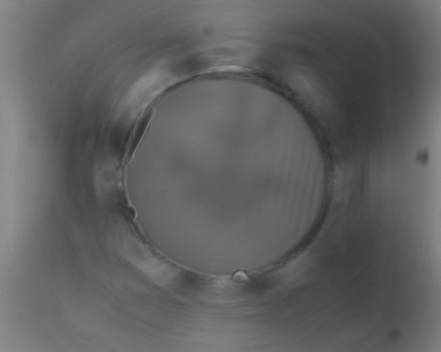 X0000110711353200907022012