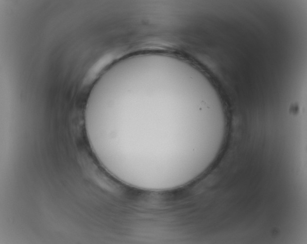 X0000110711355200907022012
