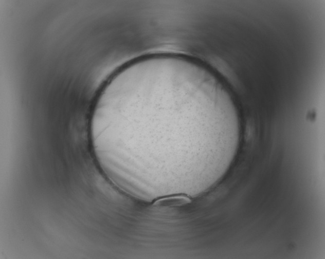 X0000110711356200907022012