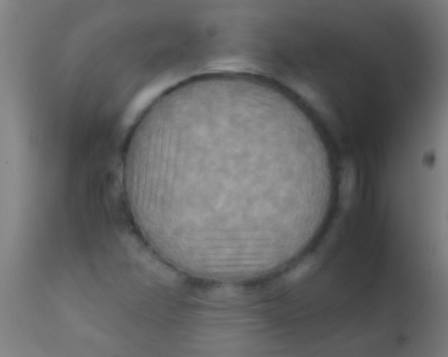 X0000110711358200907022012