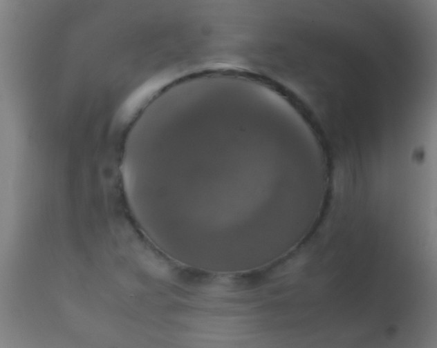 X0000110711359200907022012