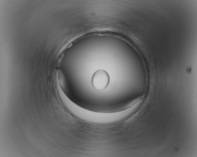 X0000110711361200907022012