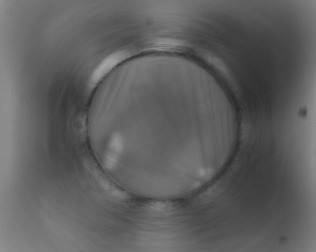 X0000110711362200907022012
