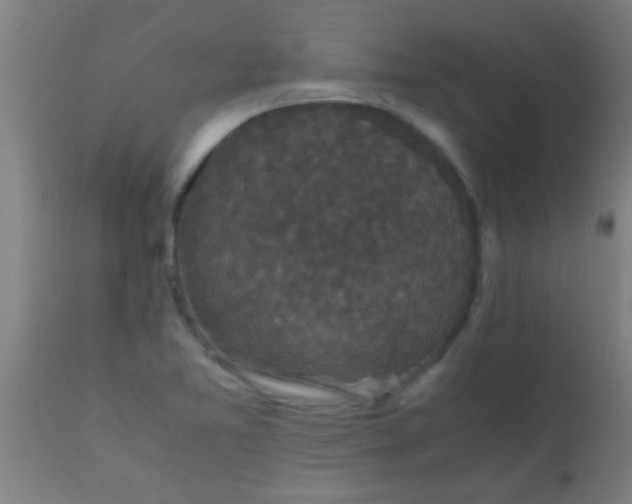 X0000110711365200907022012