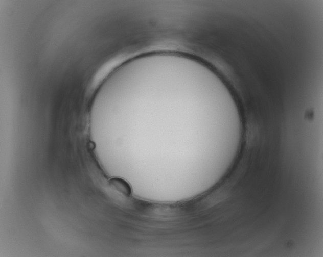 X0000110711366200907022012