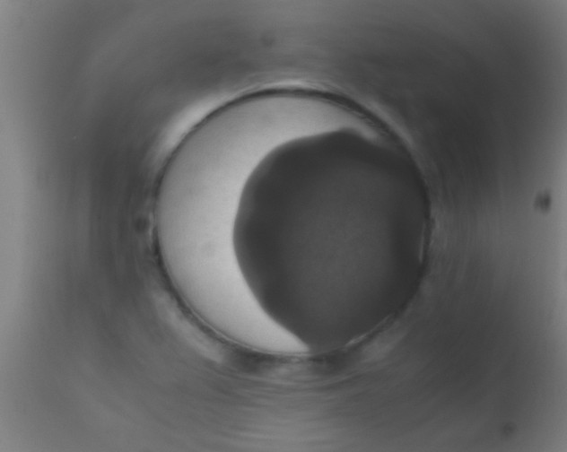 X0000110711367200907022012