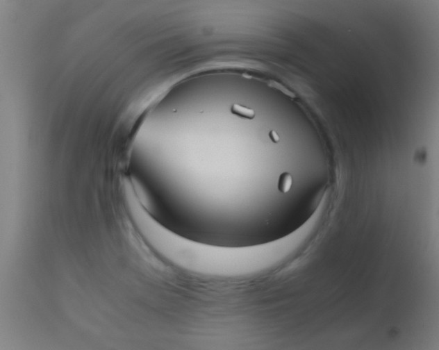 X0000110711369200907022012