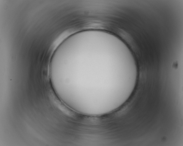 X0000110711370200907022012