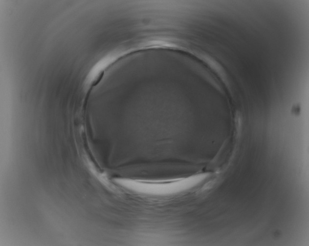 X0000110711373200907022012