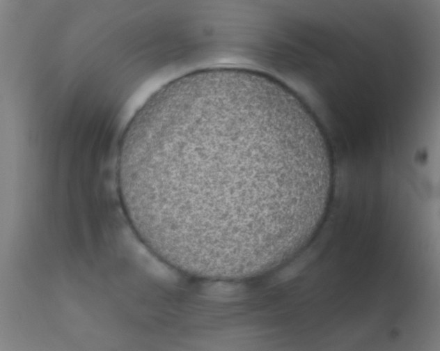 X0000110711374200907022012