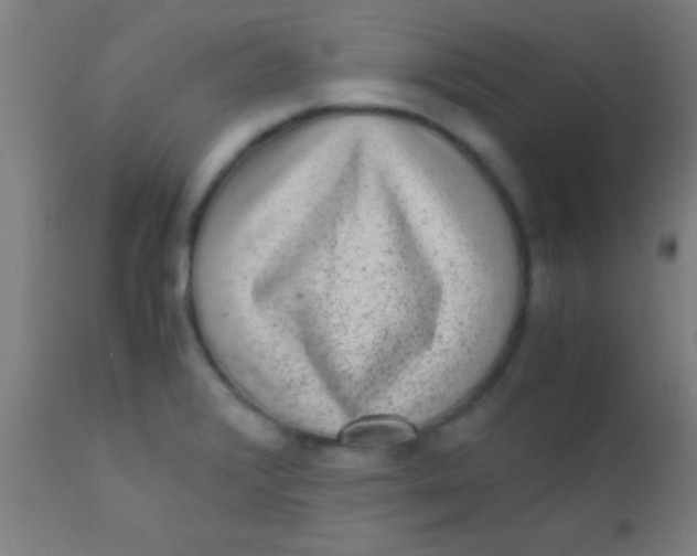 X0000110711376200907022012