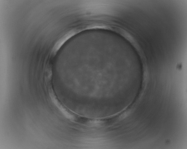 X0000110711377200907022012