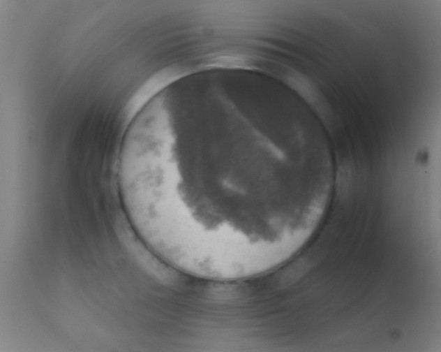 X0000110711378200907022012