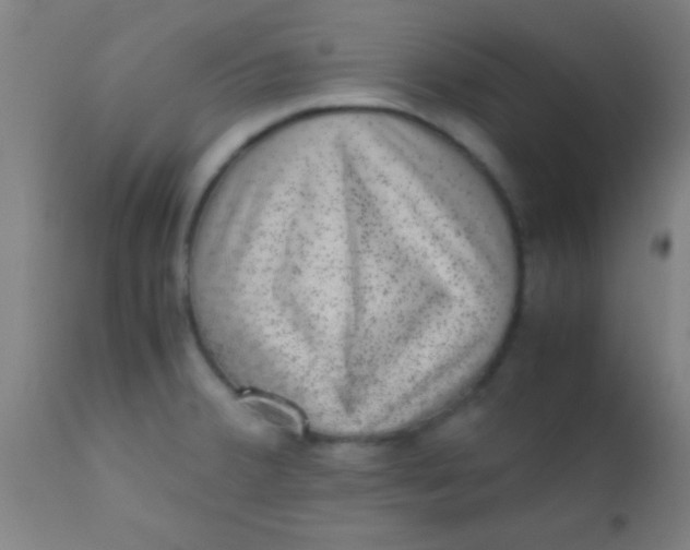 X0000110711380200907022012