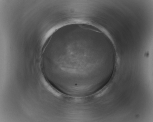 X0000110711381200907022012
