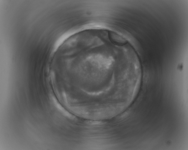 X0000110711382200907022012