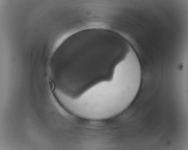 X0000110711383200907022012