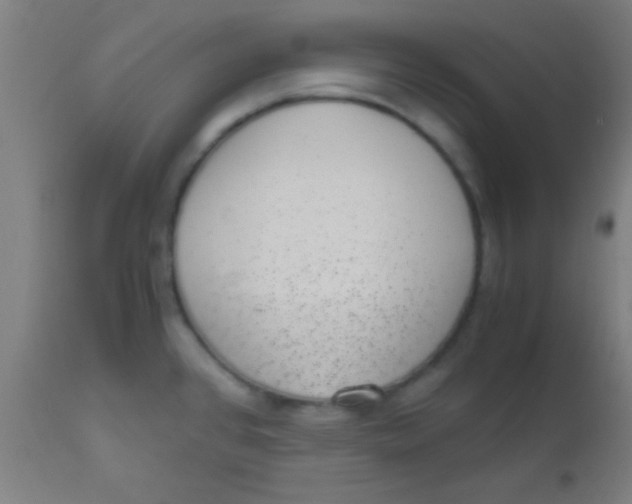 X0000110711384200907022012