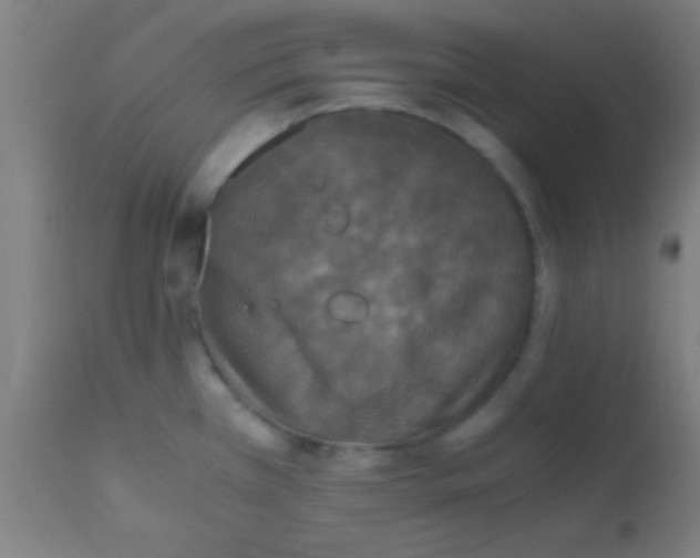 X0000110711385200907022012