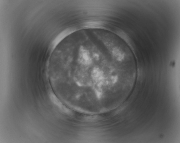 X0000110711386200907022012