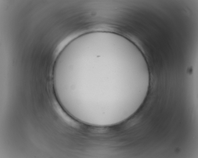 X0000110711387200907022012