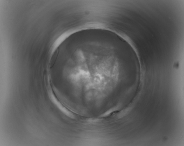 X0000110711389200907022012