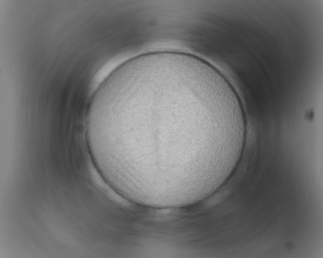 X0000110711390200907022012