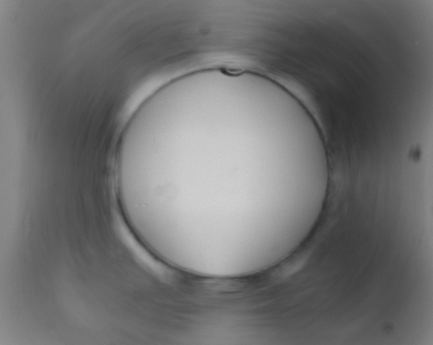 X0000110711391200907022012