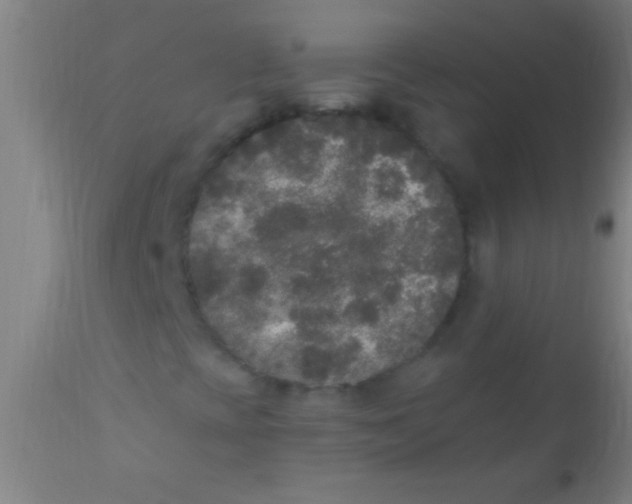 X0000110711393200907022011