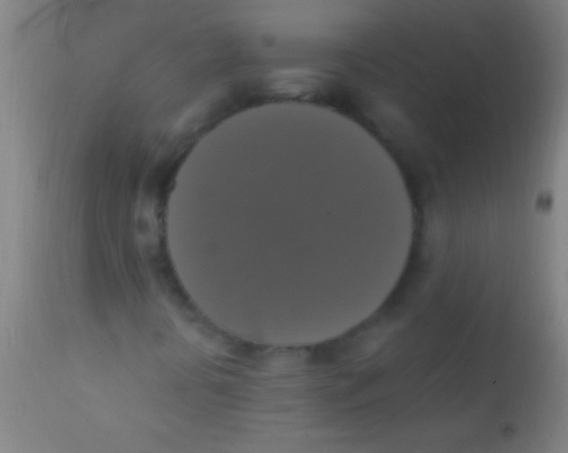 X0000110711394200907022011