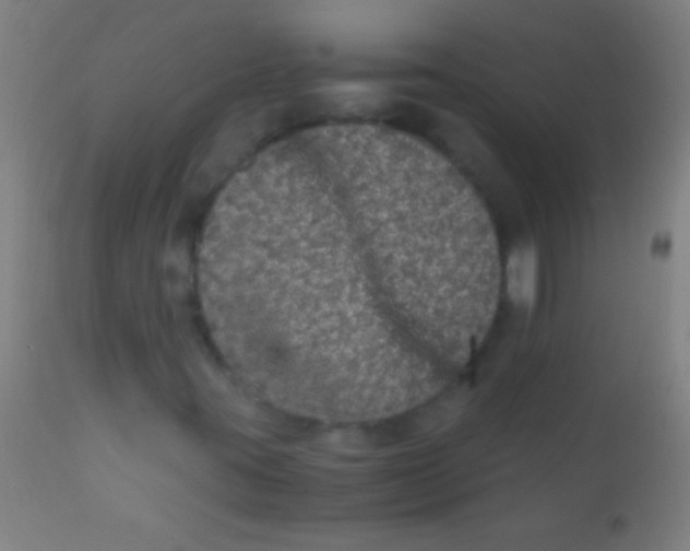 X0000110711395200907022011
