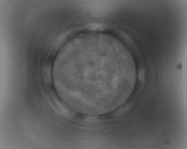 X0000110711396200907022011