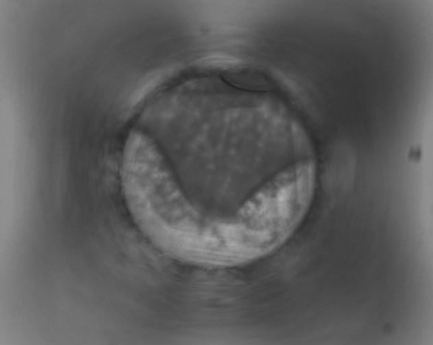 X0000110711397200907022011