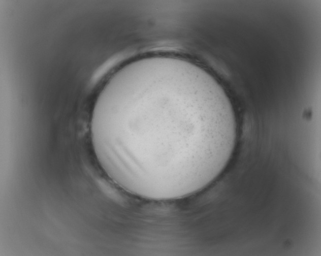 X0000110711400200907022011