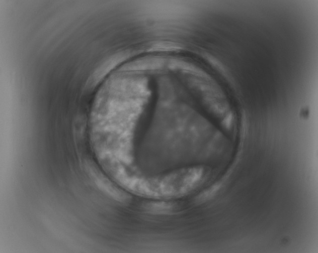 X0000110711401200907022011