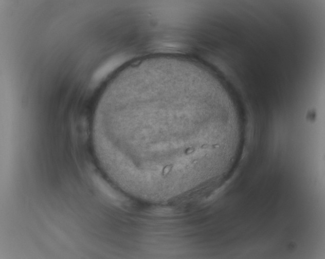 X0000110711402200907022011
